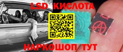 стафф Камышлов