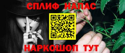 стафф Камышлов