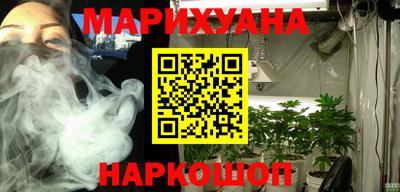 стафф Камышлов