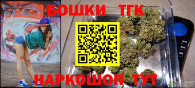стафф Камышлов