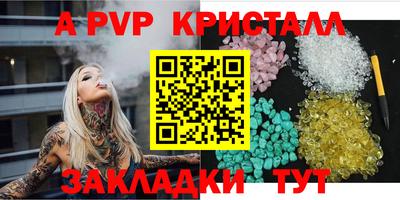 стафф Камышлов