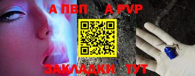 стафф Камышлов